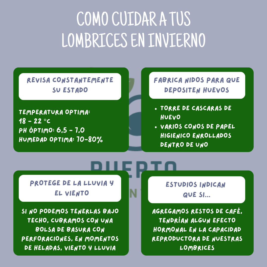 Como cuidar las lombrices en invierno2