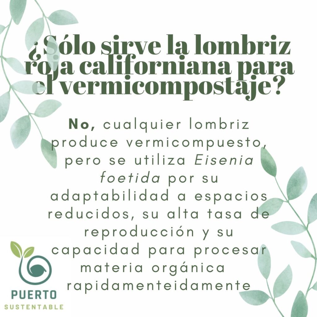 Sólo sirve la lombriz roja