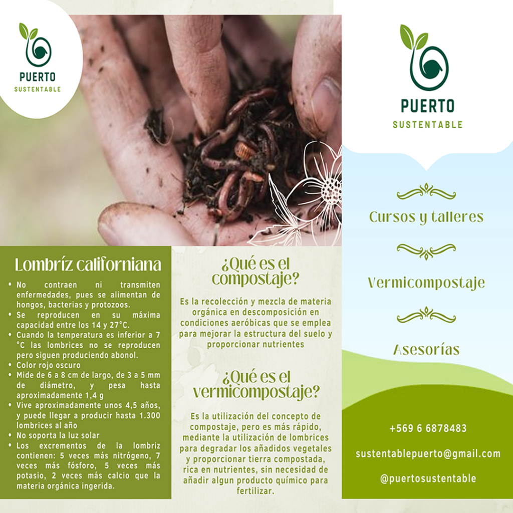Vermicompostaje y la lombriz roja2